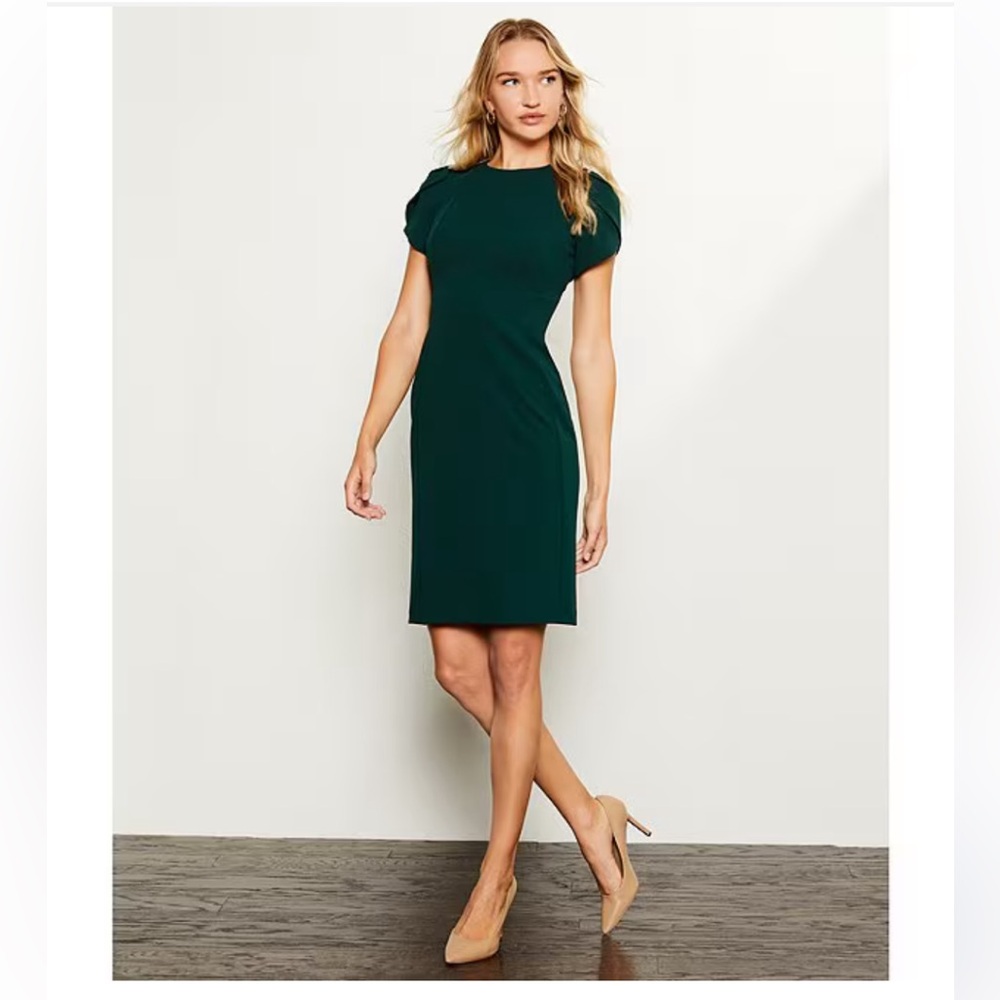 NWT! Green CALVIN KLEIN Sheath Tulip Sleeve Dress - Size 6